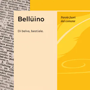 Parole fuori dal comune Belluino