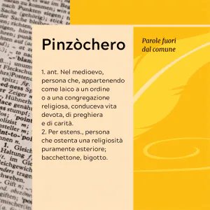 Parole fuori dal comune Pinzochero