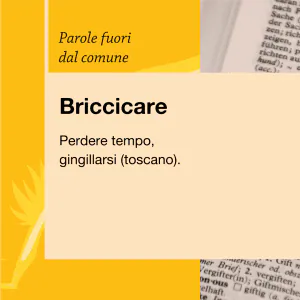 Parole fuori dal comune Briccicare